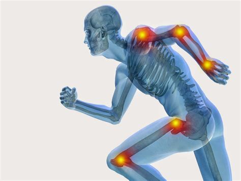 Anatomia Generalidades Sobre Las Articulaciones