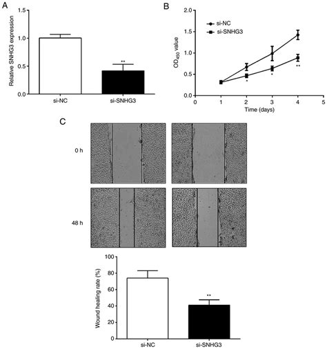 Snhg Regulates Cell Proliferation And Migration In Ovcar Cells A