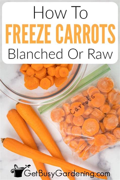 How To Freeze Carrots With Or Without Blanching