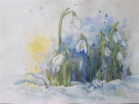 Schneegl Ckchen D Ressel Aquarell Karte Walzeichnung Aquarell Blumen