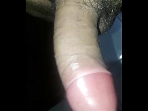 Meu Pau Duro Pulsando XVIDEOS