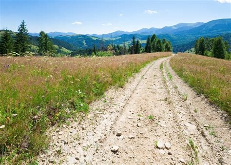 Premium Photo Dirty Road Through The Evening Flowering Grassland In