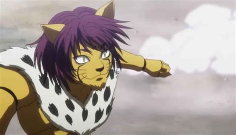 Cheetu Hunter X Hunter