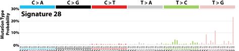 Signatures Of Mutational Processes In Human Cancer