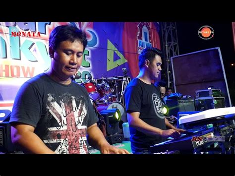 Bunga Edelweis Monata Lagu Mp3 And Mp4 Video