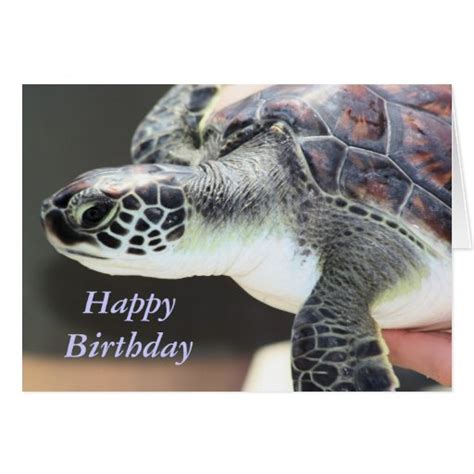 Baby Sea Turtle Birthday Card Zazzle