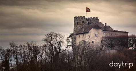 Discover Habsburg Castle | Daytrip