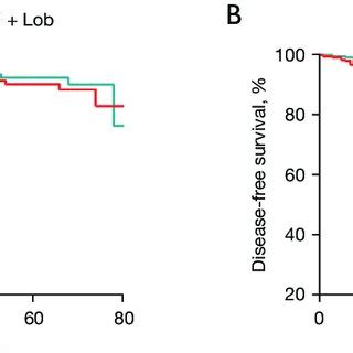 Kaplan Meier Estimates Of Overall Survival And Disease Free Survival In