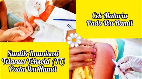 Cek Malaria Dan Imunisasi Tetanus Toksoid Tt Pada Ibu Hamil Youtube