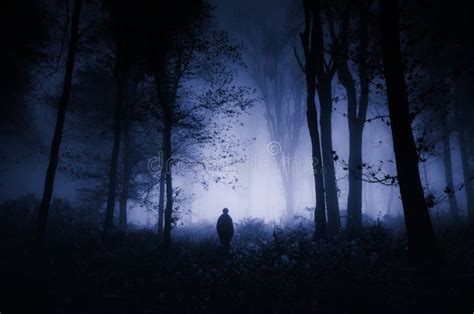 5,144 Haunted Woods Stock Photos - Free & Royalty-Free Stock Photos ...