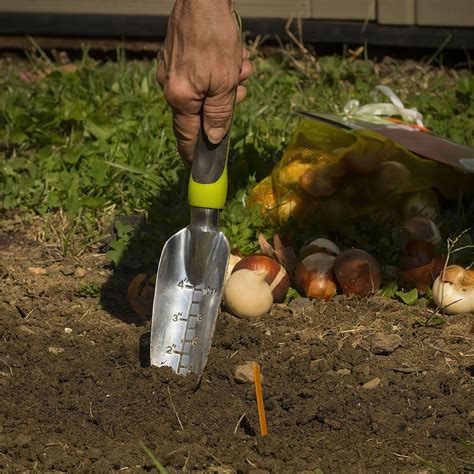 Hand Transplant Trowel Maze Products Australia