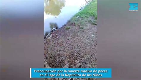 Preocupación por la muerte masiva de peces en el lago de la República