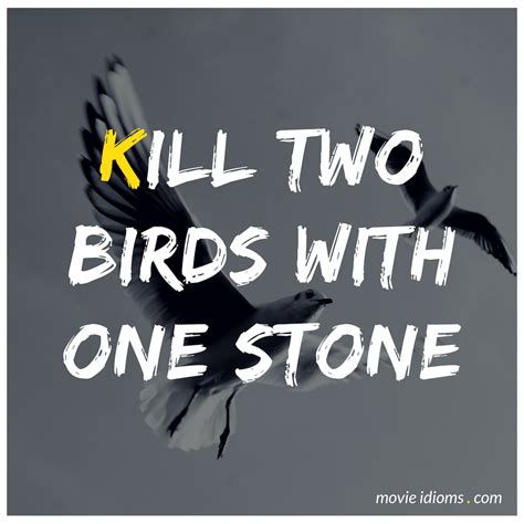 Kill Two Birds With One Stone Idiom Meaning Examples Movie Idioms