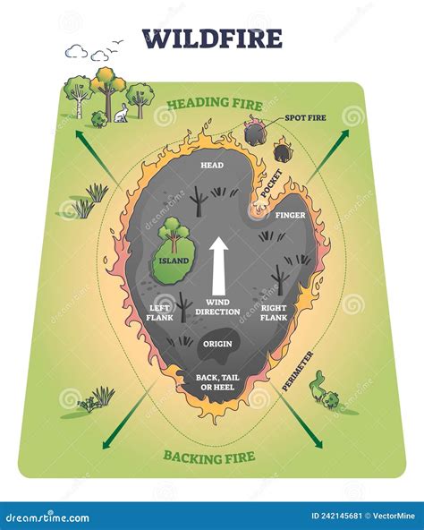 Wildfire Structure With Detailed Burning Parts Division Outline Diagram