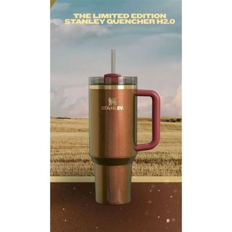 Stanley X Lainey Wilson 40 Oz Tumbler Limited Edition Country Gold IN