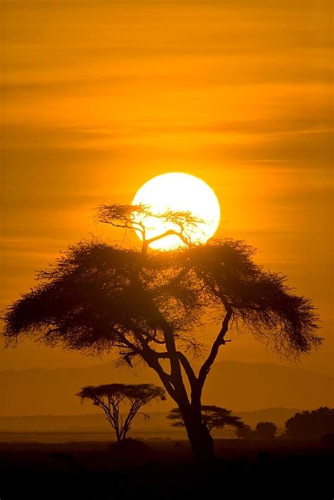 A1 Pictures: Sunrise in Amboseli National Park, Kenya