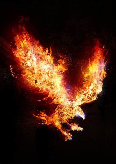 Fire Eagle By Kyz On Deviantart