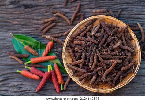 Long Pepper Indian Long Pepper Javanese Stock Photo 2124642845