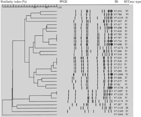 Genetic Relatedness Among Colonizing Methicillin Resistant