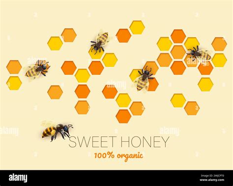 Paper Cut Honeycomb Honey And Bee 3d Vector Banner With Hexagonal Combs Holds Golden Sweet