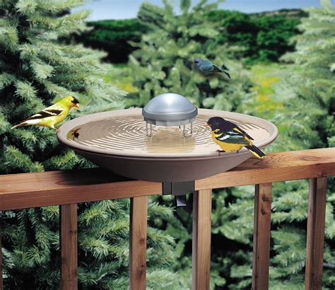 Best Rated Solar Bird Bath At Robert Kilian Blog