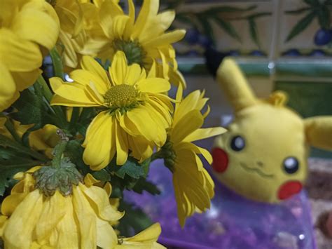 Pikachu Blomster Gratis foto på Pixabay Pixabay