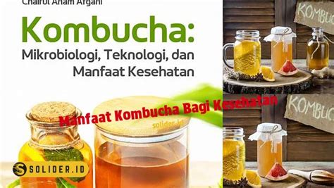 Temukan Manfaat Kombucha Yang Jarang Diketahui Untuk Kesehatan Solider