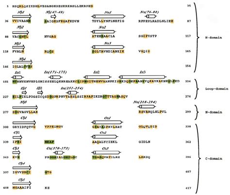 The Sequence And Secondary Structure Of Yeast Thiolase The Secondary