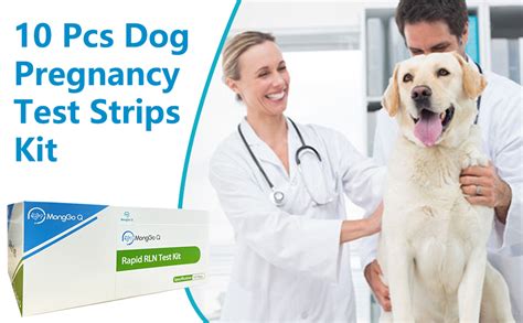 Monggo Q 10 Pcs Dog Pregnancy Test Kit Rapid Relaxin Dog