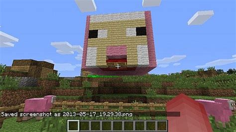 Pink Sheep Head Wool Art Minecraft Project