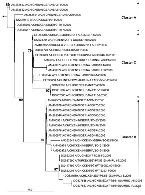 Figure 1 Genetic Characterization Of Hpai H5n1 Viruses From Poultry