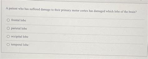 Solved A patient who has suffered damage to their primary | Chegg.com