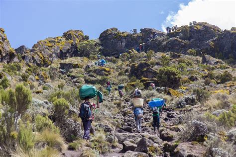 Kilimanjaro Marangu Route Days Mawenzi Adventures