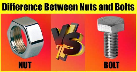 Nut Bolt What Are Nuts What Are Bolts Difference Between Nuts