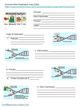 DNA Replication Video Notes - Amoeba Sisters by Science with Sara