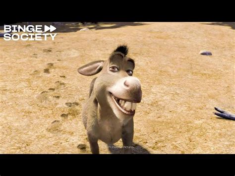 Burro tendrá su propia película lo que sabemos hasta ahora