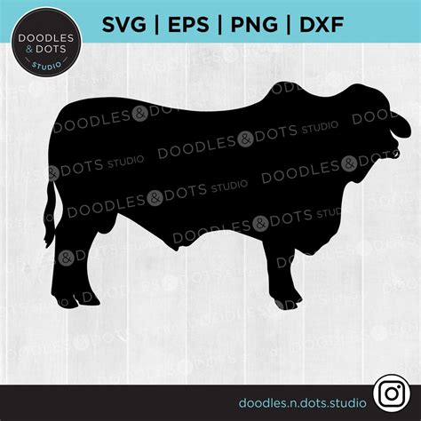 Bull Svg Beef Cow Beef Cattle Svg For Cricut Beef Rancher Angus