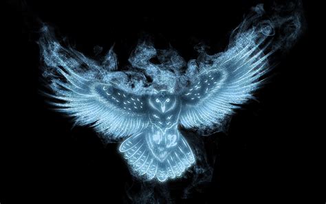 Blue Owl Wallpapers Wallpaper Cave