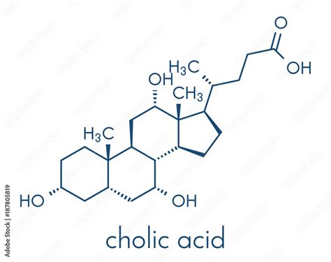 Cholic Acid Cholate Molecule Main Bile Acid Component Skeletal