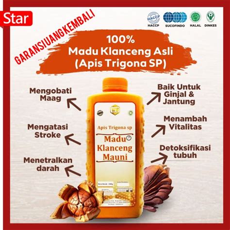 Jual MADU HUTAN KLANCENG MAUNI ASLI MURNI 100 Lebah Apis Trigona