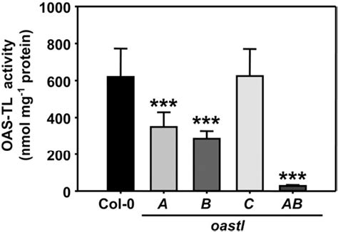 Figure From Analysis Of The Arabidopsis O Acetylserine Thiol Lyase