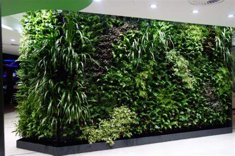 Green Plant Wall for Modern Homes and Offices in Dubai and UAE | Plant ...