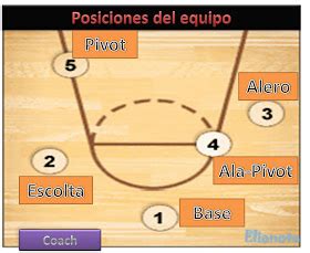 Importar Ajuste Dar Una Vuelta Posiciones De Jugadores De Basquetbol