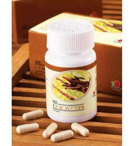 Ayurvedic Food Supplement Dxn Cordyceps 60 Capsule Wholesaler From Bhopal