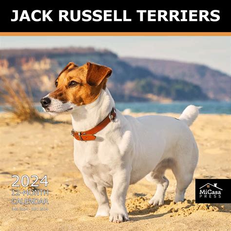 Amazon Red Ember Jack Russell Terriers Hangable Monthly Wall