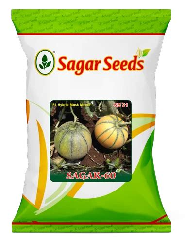 Sagar 60 F 1 Hybrid Muskmelon Seed For Agriculture Pack Size 50 Gm