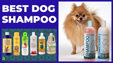 Best Dog Shampoo Review Youtube