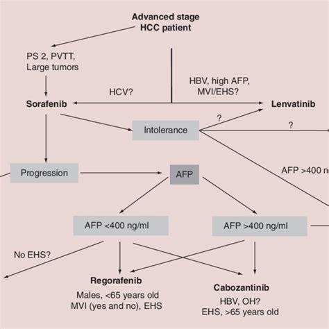 Proposed Treatment Algorithm Of Medical Treatment In Hepatocellular