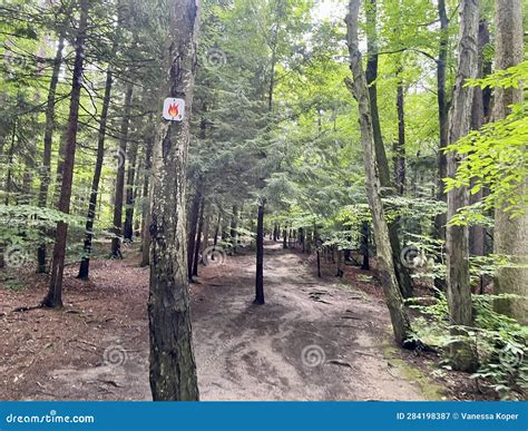 The Trail To The Eternal Flame In Chestnut Ridge Park Stock Image