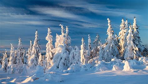 Invierno Nieve Comi Noruega Fondo De Pantalla Hd Wallpaperbetter